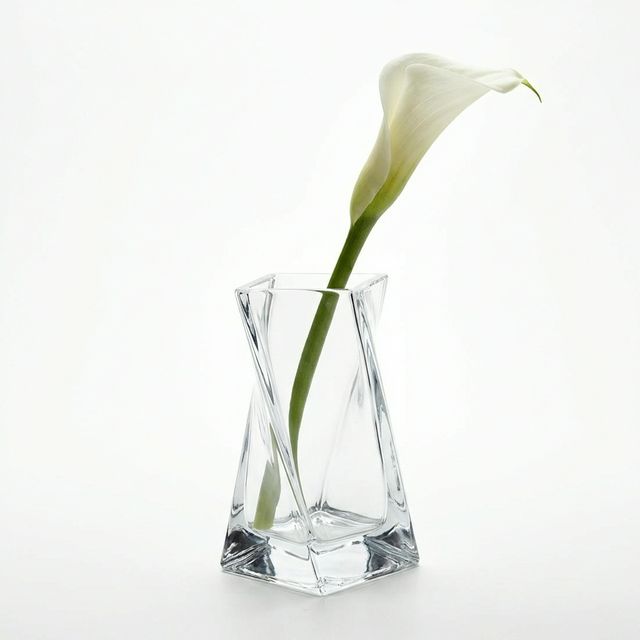 Elif ve Can galeri fotoğrafı 3